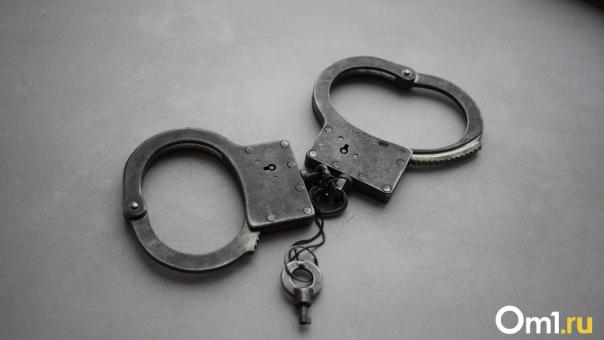 В полиции рассказали, как омичи нарушали закон в последний день 2022 года