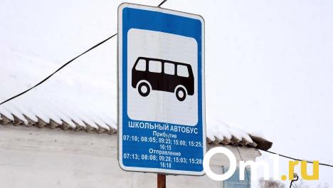 Омская область получит 204 новых школьных автобуса