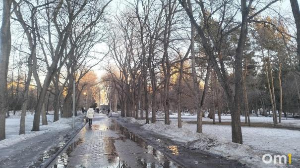 Омск и ещё 15 районов оказались в зоне риска по клещевому энцефалиту