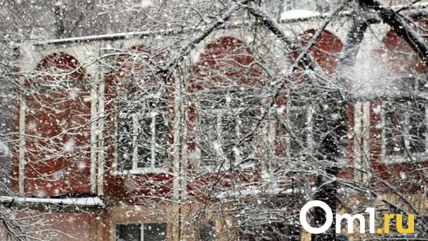 Вторая волна морозов накроет Омск в начале февраля