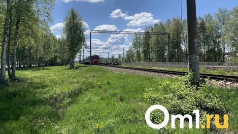 Омичи устроили сотню незаконных переездов через железную дорогу