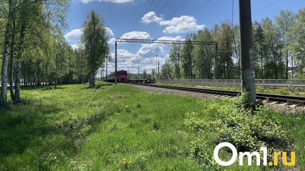 Омичи устроили сотню незаконных переездов через железную дорогу