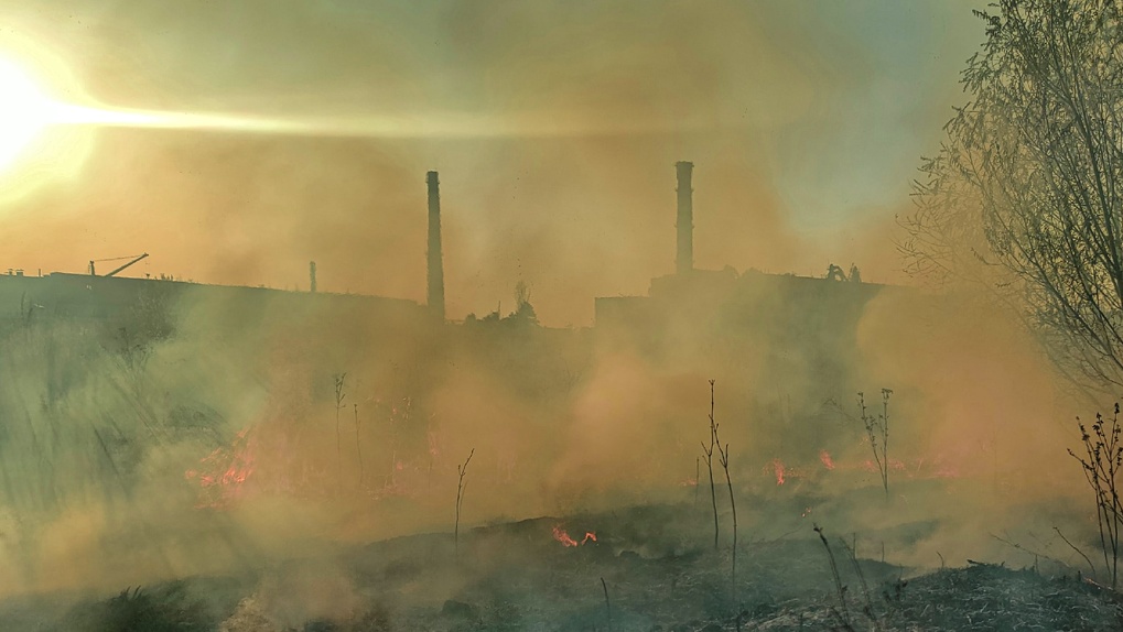 Омская область – в огне: шокирующие последствия, новые очаги и вся актуальная информация о пожарах