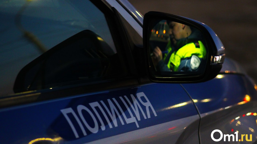 Мужчина погиб при падении с девятого этажа в микрорайоне Родники в Новосибирске