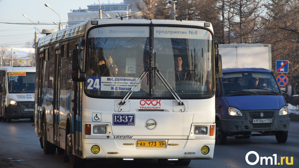 Сбивают и не пропускают: омские автобусы игнорируют пешеходные переходы и давят людей