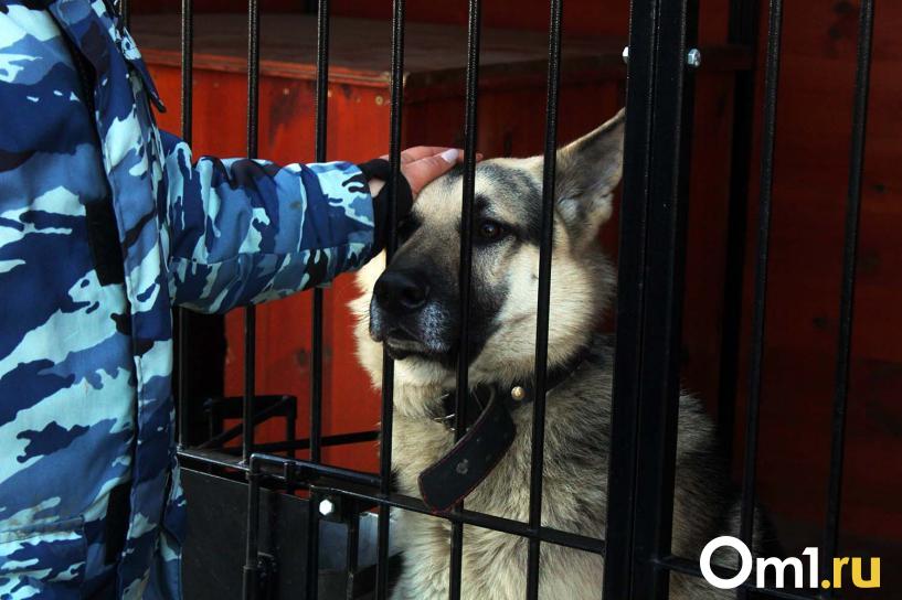 Изображение фоторепортажа