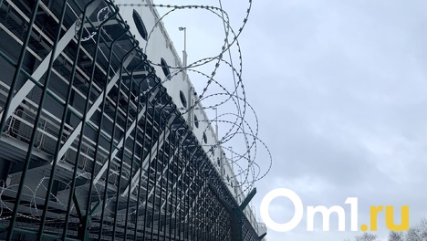 Защищать омский метромост будут курганцы с ультразвуковыми отпугивателями