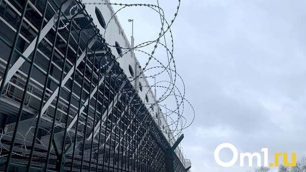 Защищать омский метромост будут курганцы с ультразвуковыми отпугивателями