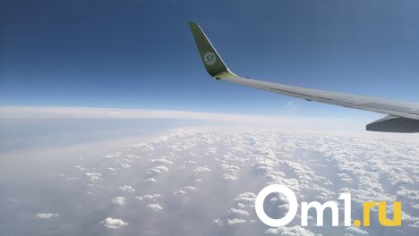 Самолёт S7 из Новосибирска не смог приземлиться из-за собаки