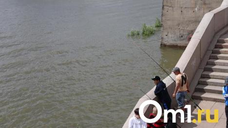 Омский рыбак поймал в Омке редкую рыбу