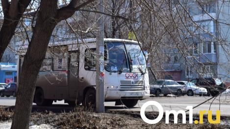 Тарифы на проезд в Омской области повысили ради сохранения маршрутов