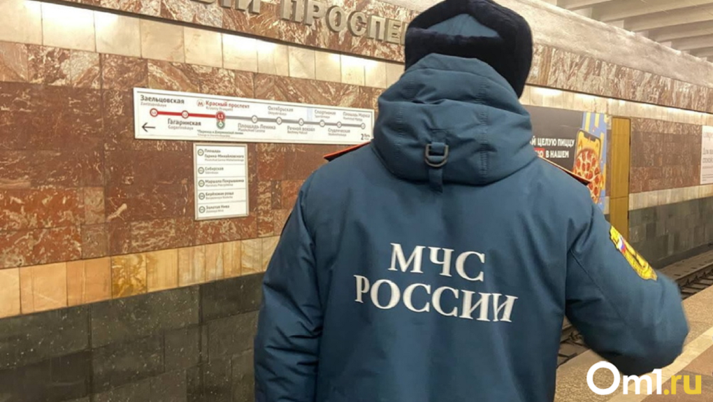 Представляются сотрудниками МЧС: жители Новосибирска жалуются на расхаживающих по квартирам мошенников