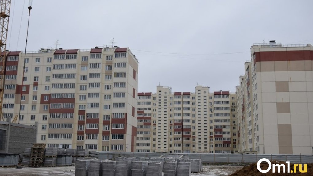 Заложены гигантские деньги: в Омске на покупку квартир для детей-сирот выделили 1,4 млрд рублей