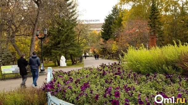 Топ лучших мест для осенних фотосессий назвали в Новосибирске