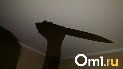 Омичка уговорила брата взять на себя вину за убийство