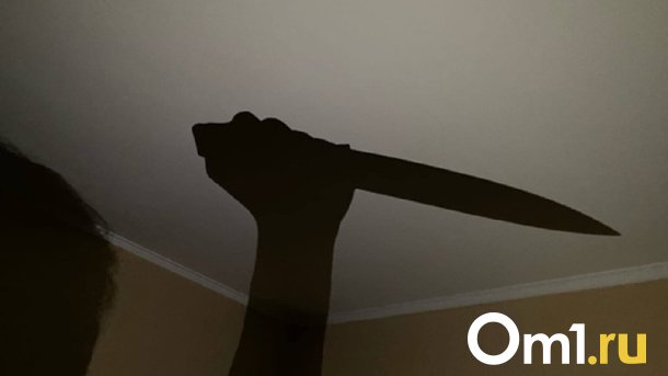 Омичка уговорила брата взять на себя вину за убийство