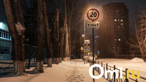 Возможно возникновение ЧС: на Омск надвигается снежная буря