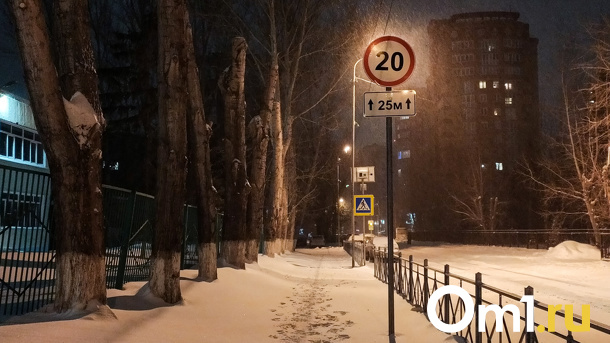Возможно возникновение ЧС: на Омск надвигается снежная буря