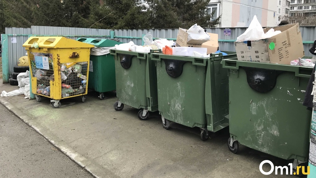 Когда контейнерные площадки Новосибирска очистят от мусора — заявление МинЖКХ