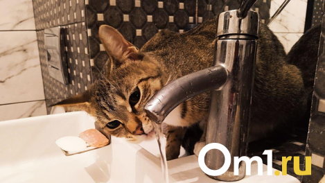 В Большеречье через суд обязали заменить водопровод со степенью изношенности в 100%