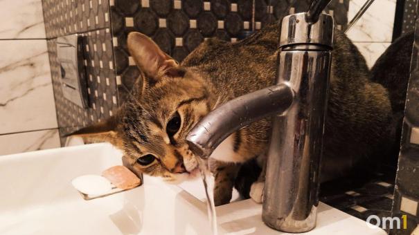 В Большеречье через суд обязали заменить водопровод со степенью изношенности в 100%