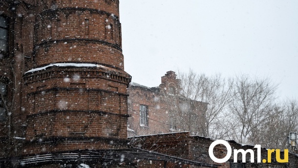 В выходные омичей ждёт резкое потепление, мокрый снег и ураганный ветер