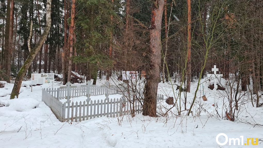 Подрядчик сорвал сроки разработки санитарной зоны на территории Клещихинского кладбища в Новосибирске