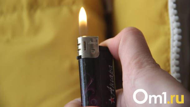 Пользователи соцсетей опознали пытавшегося поджечь девушку подростка под Новосибирском