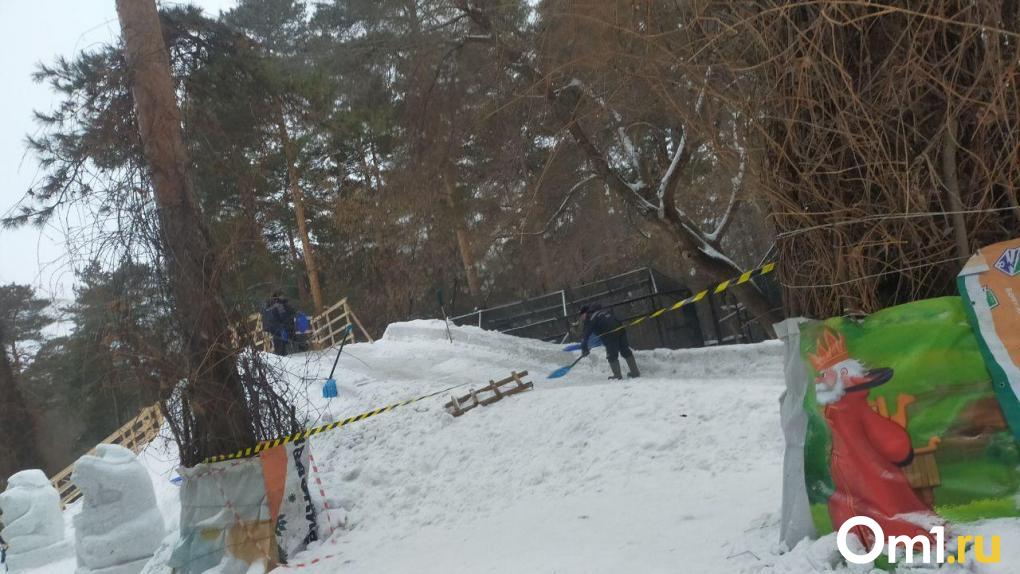 В Новосибирском зоопарке растаяла горка из-за высокой для января температуры