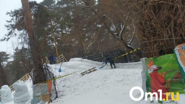 В Новосибирском зоопарке растаяла горка из-за высокой для января температуры