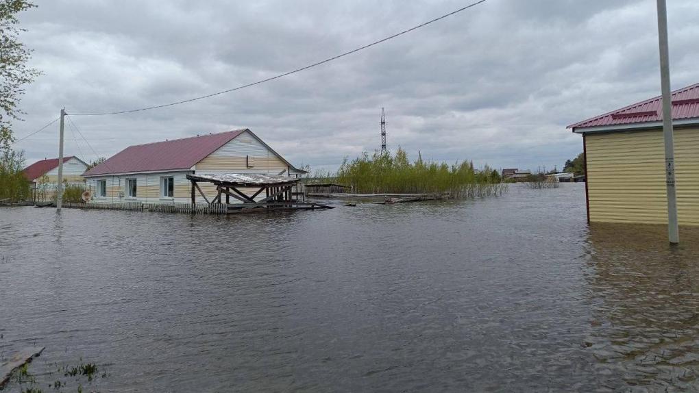Более 800 жителей Омской области получили выплаты из-за паводка