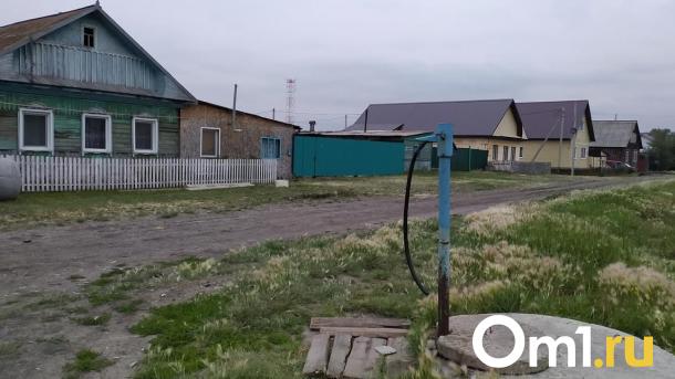 В Омской области жители села в адскую жару на два месяца остались без воды