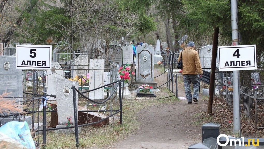 Возле омского «Авангарда» появится новое кладбище