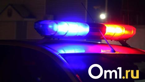 В аварии на омской трассе пострадал годовалый ребёнок