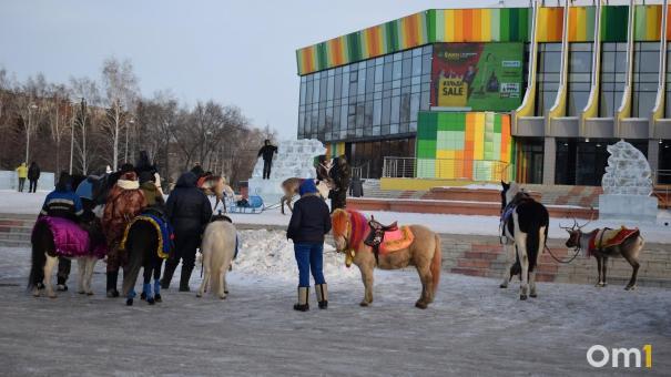 В Омске малыш покинул садик верхом на пони