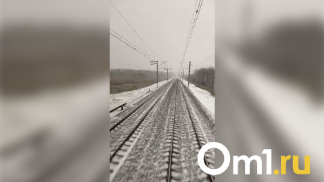 Мощный снегопад накрыл железную дорогу под Новосибирском