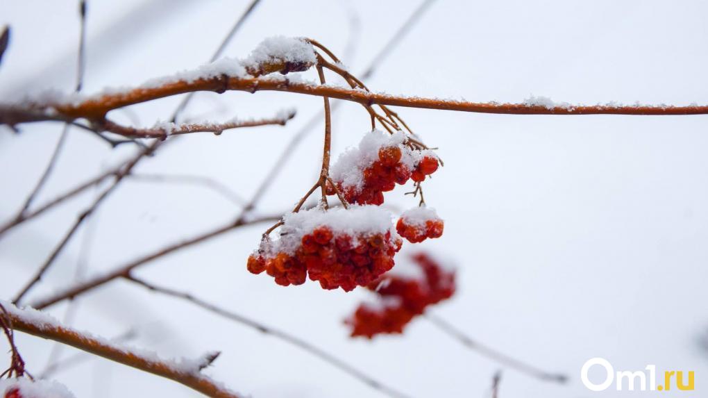 Синоптики объяснили возвращение 35-градусных морозов в Омск в феврале