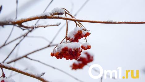 Синоптики объяснили возвращение 35-градусных морозов в Омск в феврале