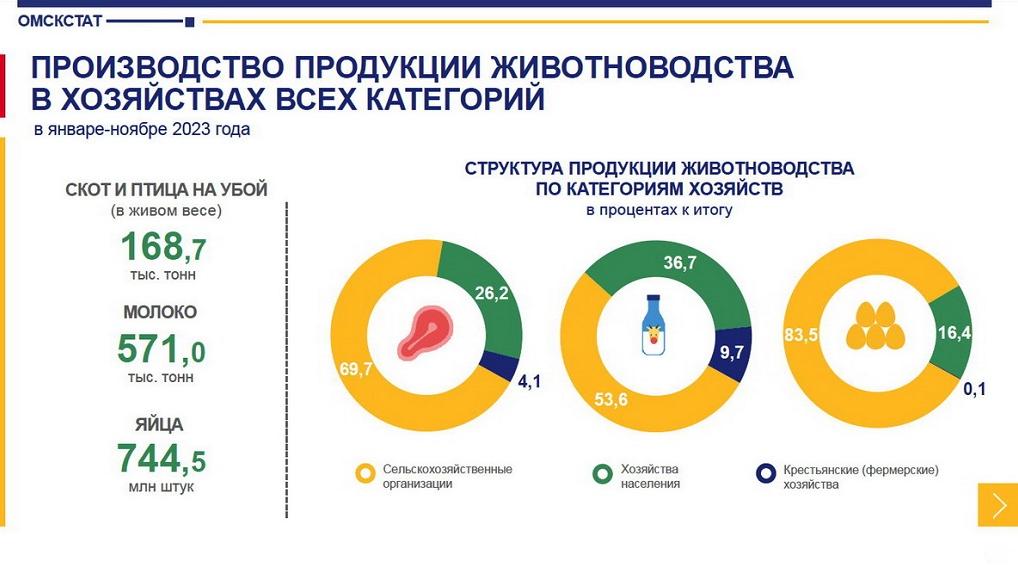 Статистики объяснили, почему в Омской области уменьшилось количество куриных яиц