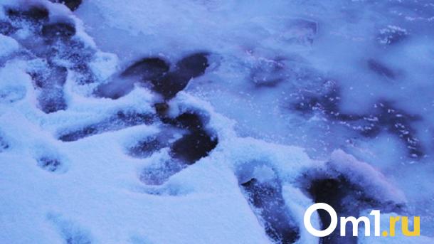 В Омской области колёсный погрузчик провалился под лёд