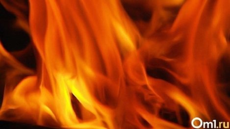 Около 100 крупных природных пожаров произошло в Новосибирской области за май
