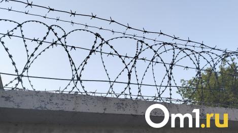 На охрану недостроев аэропорта Омск-Фёдоровка потратят больше трёх миллионов рублей