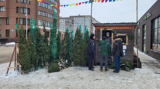 В Новосибирске изъяли сотни ёлок с нелегальных базаров