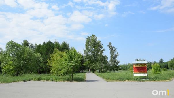 Омский школьник заблудился, выйдя погулять с друзьями