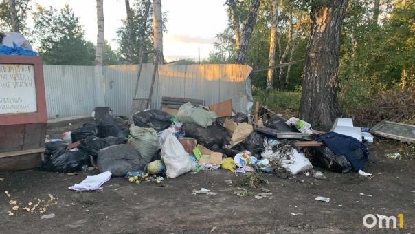 Для оперативной ликвидации незаконных свалок, омичам нужно на них пожаловаться