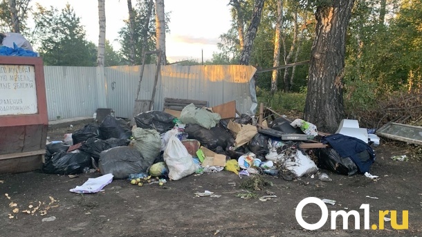 Для оперативной ликвидации незаконных свалок, омичам нужно на них пожаловаться