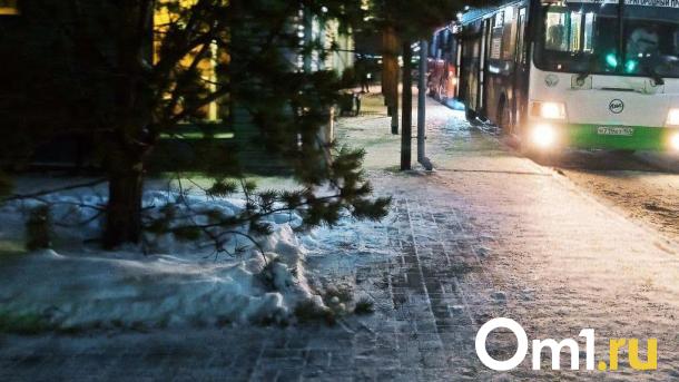 В Омске 11-летнего ребёнка высадили на трассе в сугроб