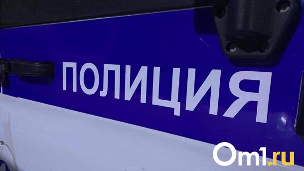 В Омске курьер решил ограбить квартиру, куда ранее доставлял посылку