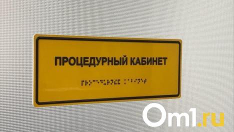В Омской области за пять лет зарегистрировали 43 случая заболеваний от укусов комаров