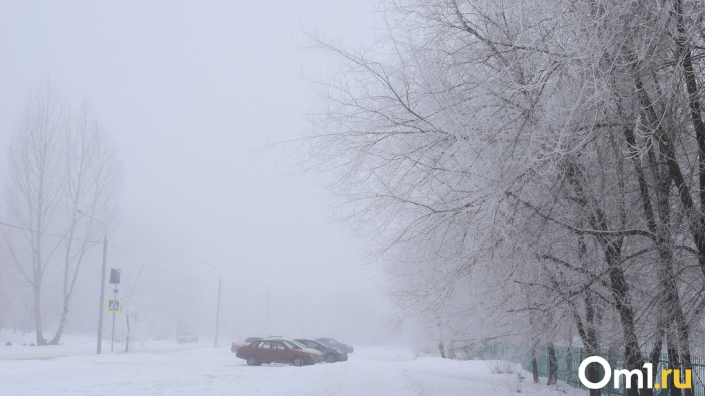 Ударит до -43: на Новосибирск надвигаются аномальные морозы